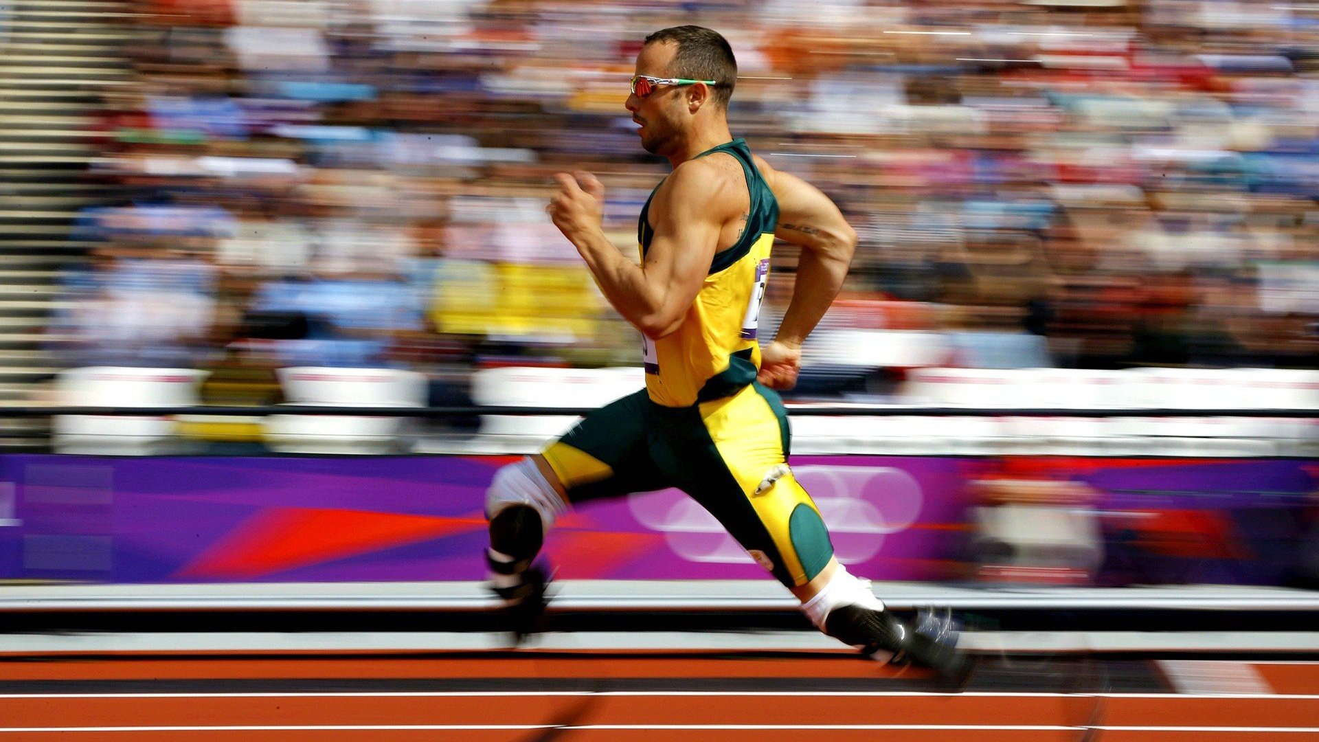 mk体育平台登录入口-体育场馆夜间开放项目吸引市民夜跑与健身参与，体育馆夜跑图片